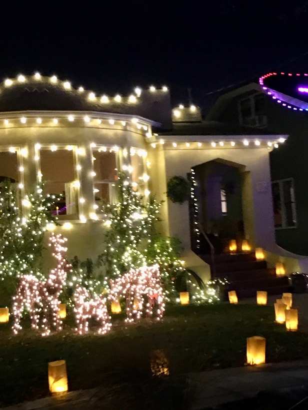 Holiday Lights: A Drive Along Christmas Tree Lane in Alameda