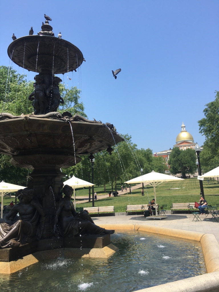 Pigeons on and flying around Brewer Fountain in Boston Common with gold dome of Massachusetts State House in the background ©️photo by BonjourDarlene.com